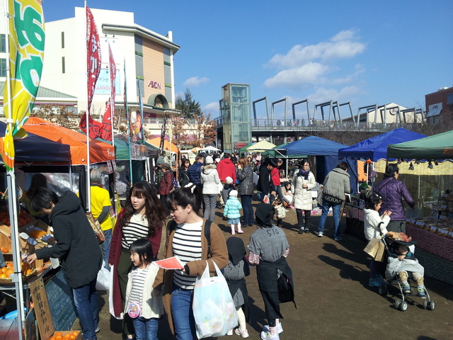 20160131_121720.jpg
